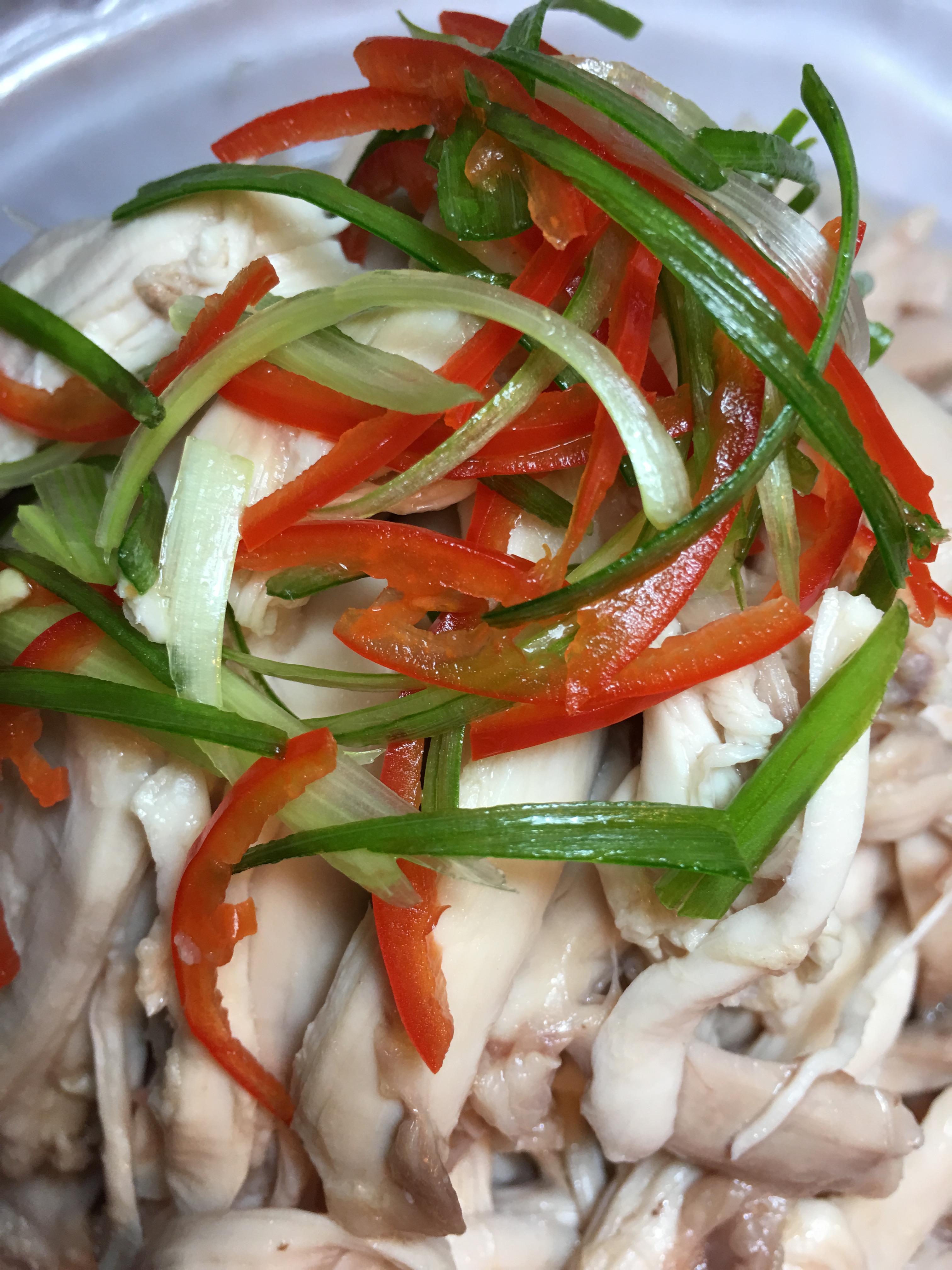 hand shredded chicken